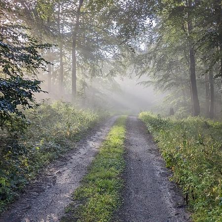 Ferienwohnung Rumbeck Hessisch Oldendorf Luaran gambar